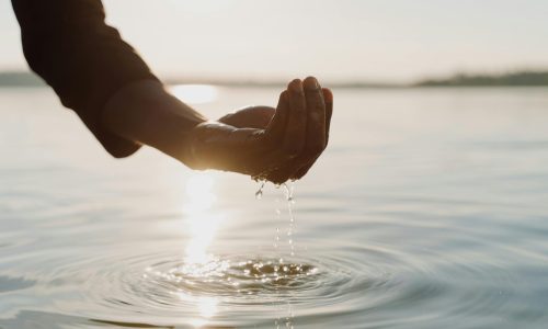 pexels cottonbro 10678366 (1)