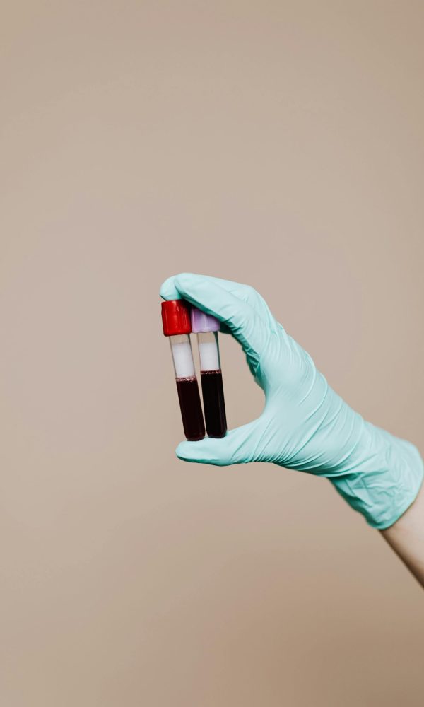 pexels karolina grabowska 4040563 (1)