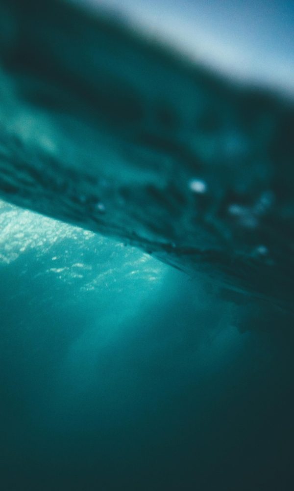 pexels ollivves 1074505 (1)